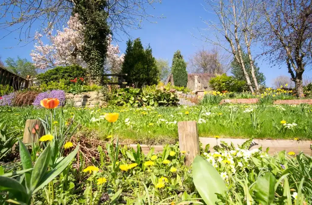 Maşuk Garden > Çekim Platosu Nedir?